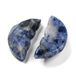 Natürliche blaue Fleckjaspis-Schmetterlingsflügel-Cabochons&nbsp;G-D078-02C