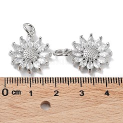 Подвески из латуни с покрытием из прозрачного кубического циркония&nbsp;KK-B078-01P