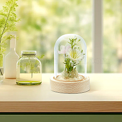 Couvercle de dôme en verre&nbsp;AJEW-WH0348-295A