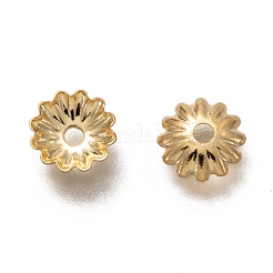 304ステンレススチールビーズキャップ  マルチ花弁花  18KGP本金メッキ  5.5x1mm  穴：1.2mm&nbsp;X-STAS-H130-30G