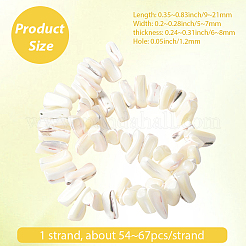 1 нить окрашенных натуральных бусин из ракушек трохус SSHEL-PA0001-01B