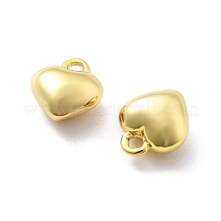 Messing Anhänger & Charms&nbsp;KK-U049-03G-01