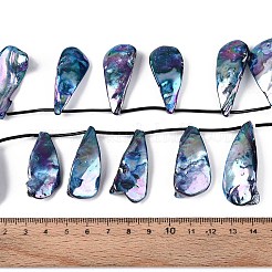 Нити бусин из натуральных пресноводных ракушек SHEL-T020-55C