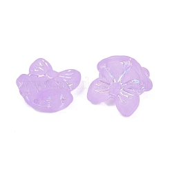 Матовые прозрачные акриловые бусины&nbsp;OACR-P029-18B-04