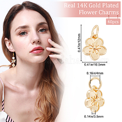 40 шт. подвески из сплава для стойки FIND-BBC0004-44