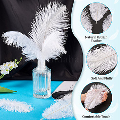 20 шт. 2 стиля аксессуаров для костюма из страусиных перьев&nbsp;FIND-TA0005-96