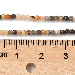 Натуральные бусины из яшмы шмеля G-D306-A08-2mm