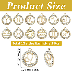 12 шт. 12 стиля подвески из цинкового сплава со стразами&nbsp;FIND-YW0010-43