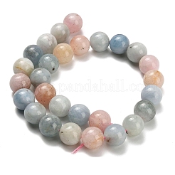 Природные морганит нитей бисера G-H329-C10-14mm