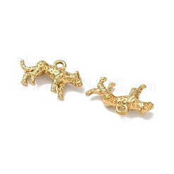 Pendentifs en acier inoxydable 304&nbsp;X-STAS-I367-09G