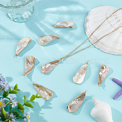 20 шт. подвески из натуральных пресноводных ракушек с гальваническим покрытием PALLOY-WR00019