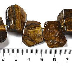 Природных тигровый глаз бисер нитей G-P528-K11-01