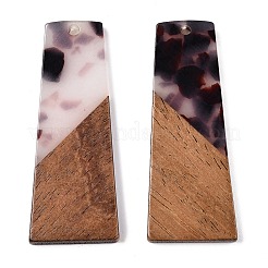 Подвески из непрозрачной смолы и ореха RESI-T058-04B