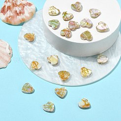 20 шт.&nbsp;SHEL-CJ0001-32