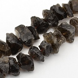 Natural Smoky Quartz Nuggets Bead Strands, 12~16x6~15mm, Hole: 1mm, about 15.7inch