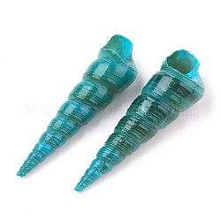 Натуральные спиральные бусы из ракушек, нет отверстий / незавершенного, окрашеные, зелено-синие, 32~75x9~18x9~18 мм