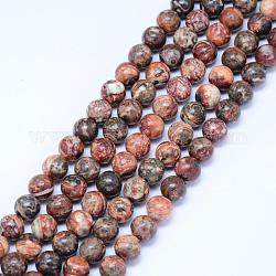 Chapelets de perles de jaspe en peau de léopard naturel, ronde, 10mm, Trou: 1mm, Environ 38 pcs/chapelet, 15.5 pouce (39.5 cm)