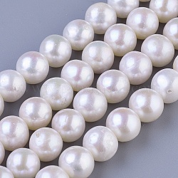 Fili di perle d'acqua dolce naturali coltivate, tondo, colore conchiglia, 10~11mm, Foro: 0.8 mm, circa 42pcs/filo, 15.7 pollice