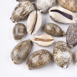 Kaurimuschel Perlen, ungebohrt / keine Lochperlen, Kamel, 33~50x20~32x16~28 mm