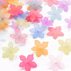 Frosted Acrylic Bead Caps, 5-Petal, Flower, Mixed Color, 20x21.5x4.5mm, Hole: 1.6mm, about 1630pcs/500g