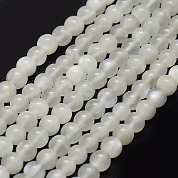 Naturelles perles pierre de lune blanc brins, ronde, 6mm, Trou: 1mm, Environ 67 pcs/chapelet, 15.7 pouce (40 cm)