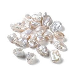 Perlas keshi naturales perlas cultivadas de agua dulce, perlas barrocas, sin perforar / sin orificio, pepitas, whitesmoke, 12~17x7~9x4~6mm