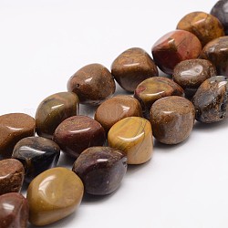 Natürliche versteinertes Holz Perlenstränge, Nuggets, 15~25x10~18x12~16 mm, Bohrung: 2 mm, ca. 22~25 Stk. / Strang, 15.75 Zoll