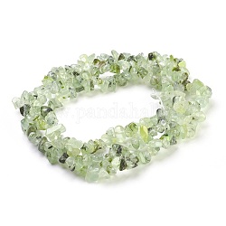 Natural Prehnite Beads Strands, Chip, 4~18x3~10mm, Hole: 0.5mm, 30.7 inch(78cm)