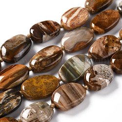 Chapelets de perles en bois pétrifié naturel, ovale, 15~18x8~11.5x3.5~5mm, Trou: 1mm, Environ 21~24 pcs/chapelet, 16.73 pouce (42.5 cm)