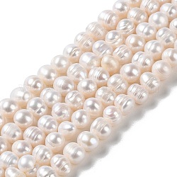 Fili di perle di perle d'acqua dolce coltivate naturali, patata, grado a ++, papayawhip, 7~8x6~7mm, Foro: 0.6 mm, circa 49pcs/filo, 13.39'' (34 cm)