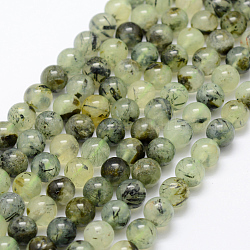 Chapelets de perles en préhnite naturelle, ronde, grade AB, 8mm, Trou: 1mm, Environ 50 pcs/chapelet, 15.3 pouce (39 cm)