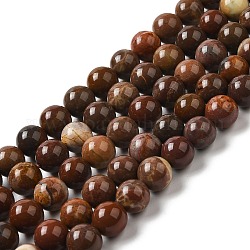 Naturstein Perlen Stränge, Runde, 10~10.5 mm, Bohrung: 1 mm, ca. 20 Stk. / Strang, 15.75'' (40 cm)