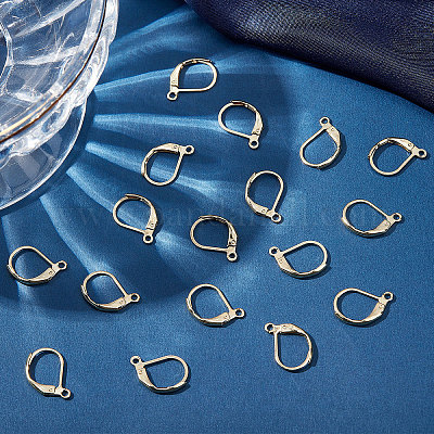 Wholesale Beebeecraft 50Pcs 304 Stainless Steel Leverback Earring Findings  