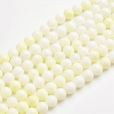 Natural Freshwater Shell Round Bead Strands S016Q026-1