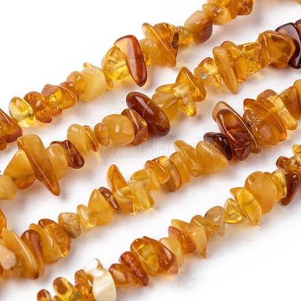Natural Amber Chip Beads Strands X-G-E271-81-1