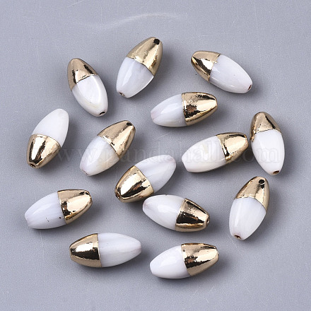 Natural Freshwater Shell Beads X-SHEL-N026-55-1
