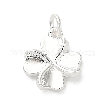 925 серебряный шарм LS-FIND-Z069-04S-C-1