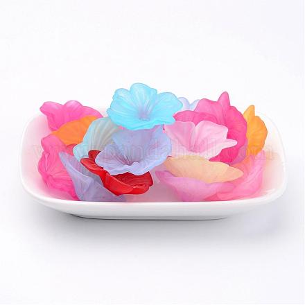 Mixed Transparent Frosted Acrylic Flower Beads X-FACR-R016-M-1