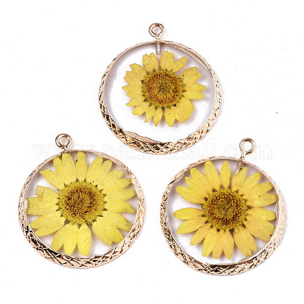 Transparent Clear Epoxy Resin & Dried Flower Pendants RESI-S383-076A-A02-1