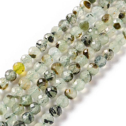 Natural Prehnite Beads Strands G-F717-11A-1