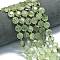 Natural Prehnite Beads Strands, Faceted Hexagonal Cut, Flat Round, with Seed Beads, 10~11x6mm, Hole: 1.1mm, about 31~32pcs/strand, 15.35''~15.55''(39~39.5cm)