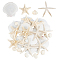 30Pcs 4 Styles Natural Shell Home Decoration, Wall Decoration, Shell Shape & Starfish, Mixed Color, 21~107x26~102x9~2~20.5mm