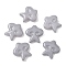 Handmade Lampwork Beads, Star, Dark Gray, 24.5x24.5x7.5mm, Hole: 1.2~1.4mm