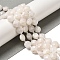 Natural Rainbow Moonstone Beads Strands, Faceted, Flat Round, with Seed Beads, 10.5x6mm, Hole: 1mm, about 33pcs/strand, 15.47''(39.3cm)