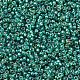 Perles rocailles miyuki rondes SEED-X0054-RR1017-3