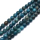 Natural Apatite Beads Strands X-G-F591-01-1