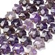 Natürlichen Amethyst Perlen Stränge&nbsp;G-L657-A08-01-2