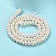 Natural Cultured Freshwater Pearl Beads Strands PEAR-J007-03-3