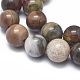 Chapelets de perles en bois pétrifié naturel G-I254-07B-3