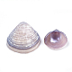 Clam-Shell-Perlen SSHEL-S258-42-2